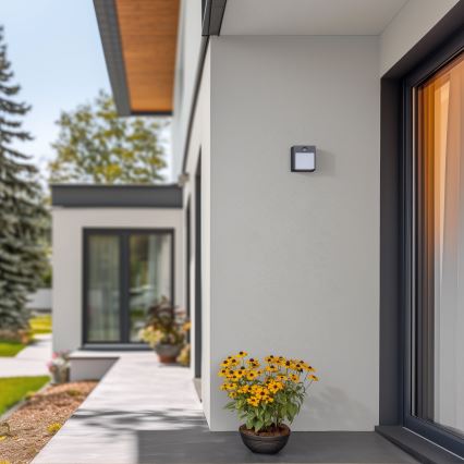 Brilagi - LED външно стенна лампа с сензор TERNI LED/12W/230V антрацит IP44