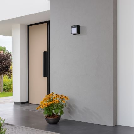 Brilagi - LED външно стенна лампа с сензор TERNI LED/12W/230V черна IP44