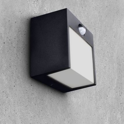Brilagi - LED външно стенна лампа с сензор TERNI LED/12W/230V черна IP44