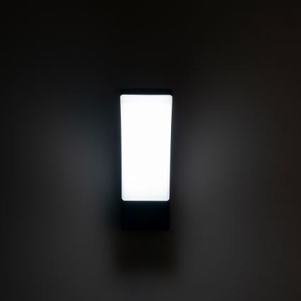 BRILAGI - LED външно стенно осветително тяло ARCELO LED/12W/230V IP65 черно