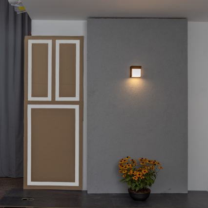 BRILAGI - LED външно стенно осветително тяло TERNI LED/12W/230V кафяво IP44