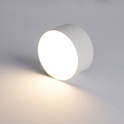 BRILAGI - LED Външно таванно осветително тяло FORIS LED/14W/230V Ø 12 см бяло IP44