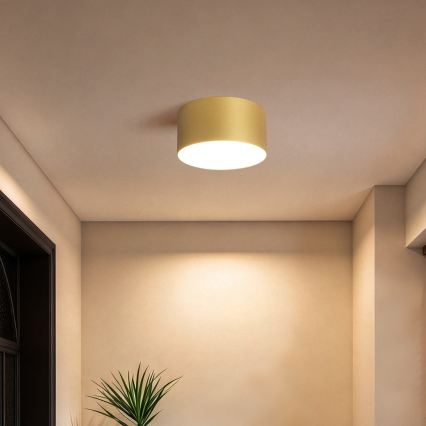 BRILAGI - LED външно таванно осветително тяло FORIS LED/14W/230V Ø 12 см златисто IP44