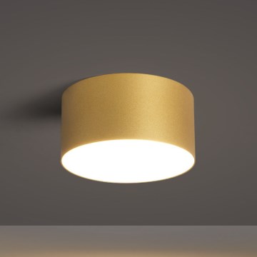 BRILAGI - LED външно таванно осветително тяло FORIS LED/14W/230V Ø 12 см златисто IP44