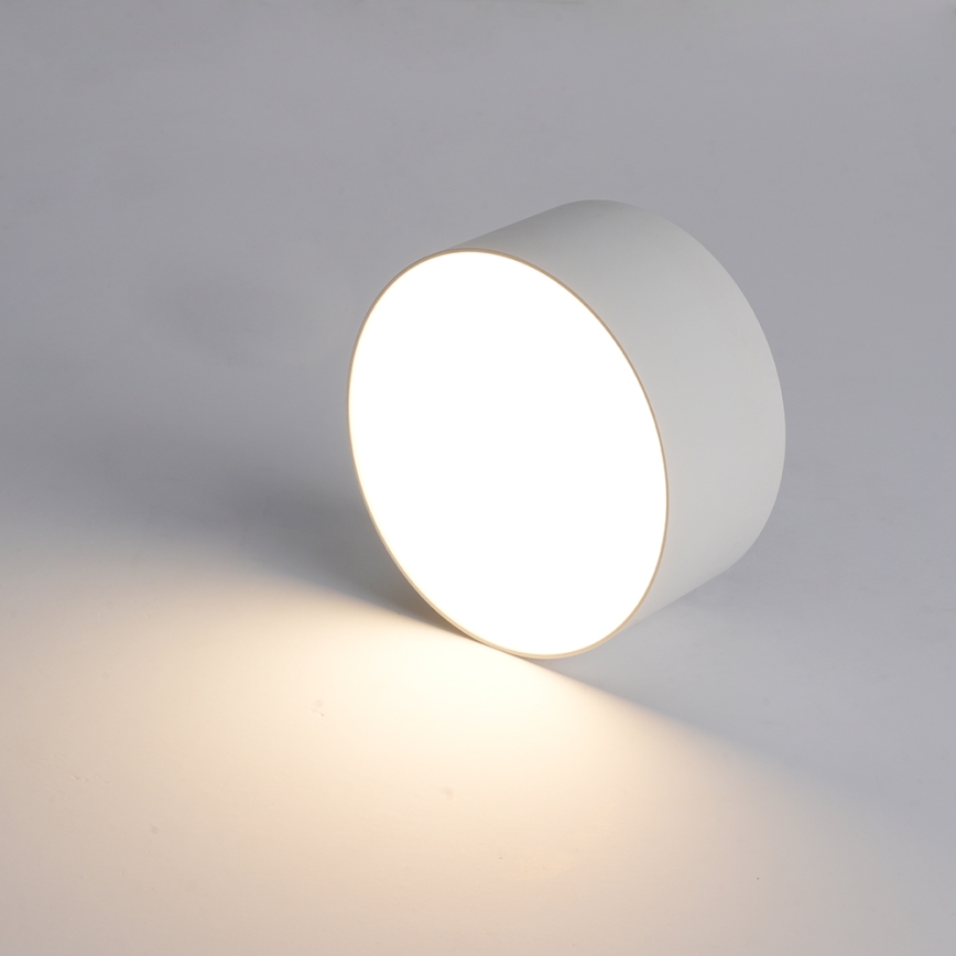 BRILAGI - LED Външно таванно осветително тяло FORIS LED/20W/230V pr. 15 cm бяло IP44