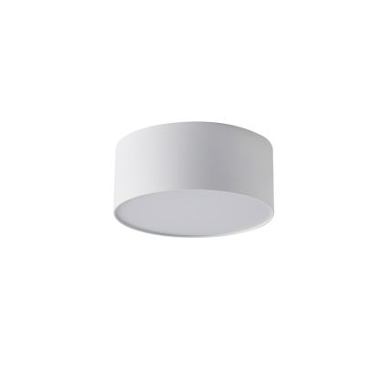 BRILAGI - LED Външно таванно осветително тяло FORIS LED/20W/230V pr. 15 cm бяло IP44