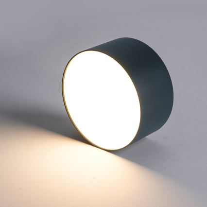 BRILAGI - LED Външно таванно осветително тяло FORIS LED/20W/230V Ø 15 см антрацит IP44
