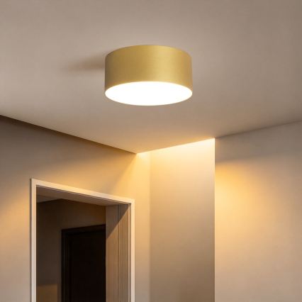 BRILAGI - LED външно таванно осветително тяло FORIS LED/20W/230V Ø 15 cm златисто IP44