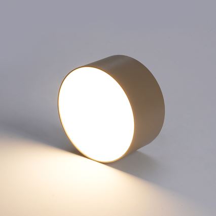 BRILAGI - LED външно таванно осветително тяло FORIS LED/20W/230V Ø 15 cm бежово IP44
