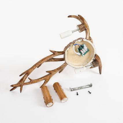 Brilagi - Настенно осветително тяло DEER 2xE14/10W/230V еленови рога