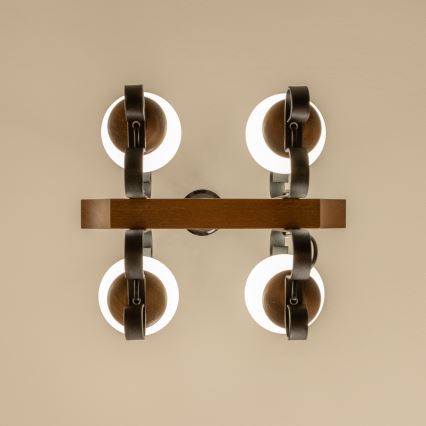 Brilagi - Пендел QUEEN 4xE14/40W/230V бук/орех