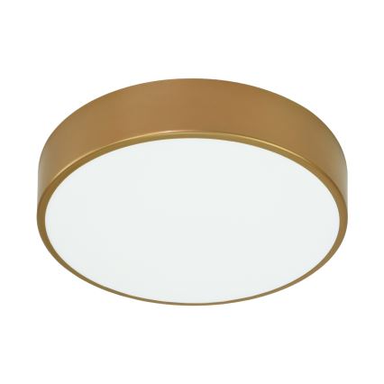 Brilagi - Плафон CLARE 3xE27/24W/230V Ø 40 cm златист