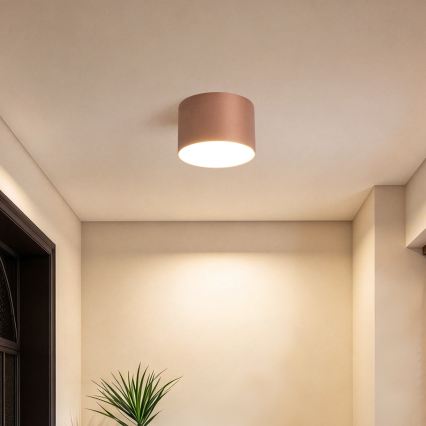 BRILAGI - Таванно осветително тяло за баня FORIS LED/9W/230V Ø 9 см бронзово IP44 CRI 90