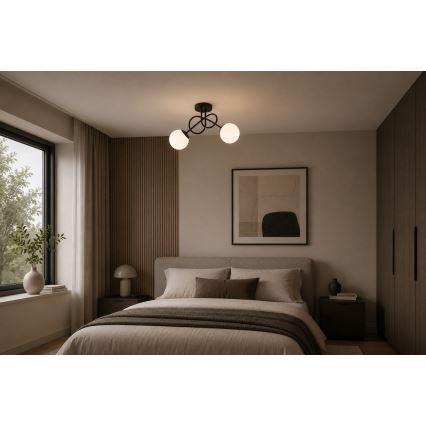 Brilagi - Плафониера MILO 2xE27/60W/230V черна
