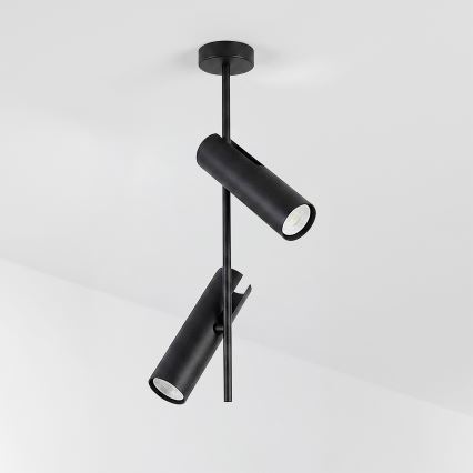 Brilagi - Полилей на тръба BRANCH 2xGU10/30W/230V черен