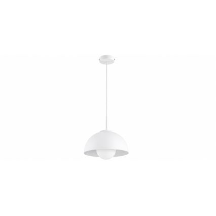 BRILAGI - Полилей на кабел COSMO 1xE27/60W/230V Ø 30 см бял/златен