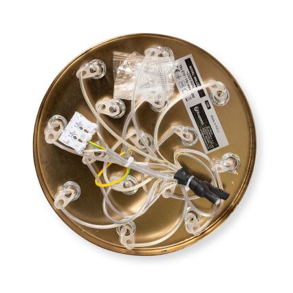 Brilagi - Полилей на кабел GLOBE 15xE14/15W/230V бял