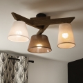 Brilagi - Полилей за повърхностен монтаж ANTHONY 3xE14/40W/230V дъб