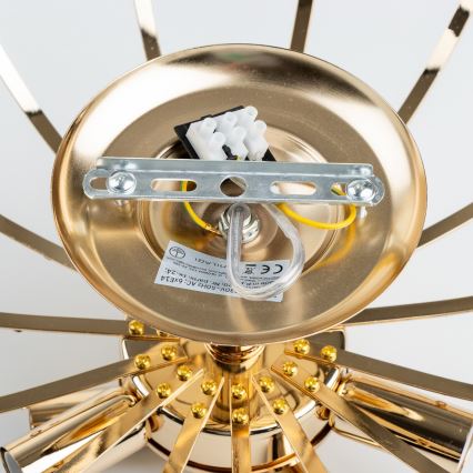 Brilagi - Полилей за повърхностен монтаж CRYSTAL 6xE14/60W/230V златист