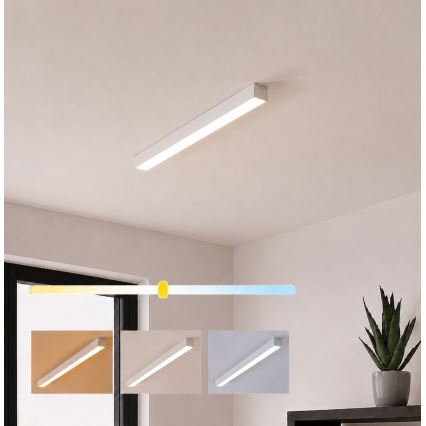Brilagi - LED плафон FULLDAY LED/10/15/20W/230V 2700/4000/6000K 60 см бял