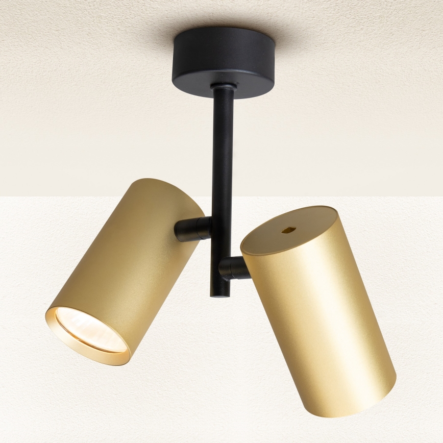 Brilagi - Спот SELE VERTICAL 2xGU10/30W/230V черен/златист