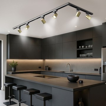 Brilagi - Спот за релсова система HUSKY 6xGU10/10W/230V черно/златисто