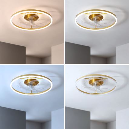 Brilagi - Димируем таванен LED вентилатор LED/66W/230V 3000-6500K Ø 55 см бял/златист + дистанционно управление