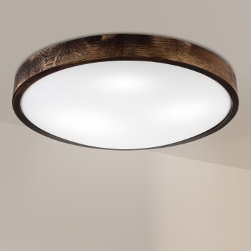 Brilagi - Таванно осветително тяло CARVALHO SLIM SMOKEY 3xE27/60W/230V дъб Ø 47,5 см