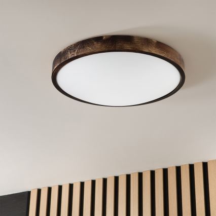 Brilagi - Таванно осветително тяло CARVALHO SLIM SMOKEY 3xE27/60W/230V дъб Ø 47,5 см