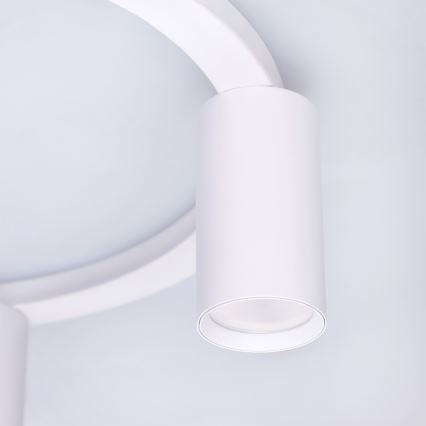 BRILAGI - Таванно осветително тяло SELE 4xGU10/30W/230V бяло