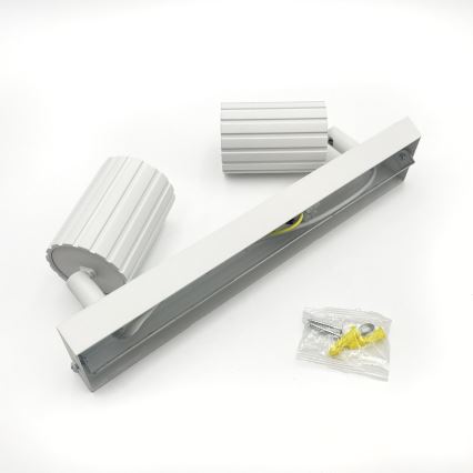 Brilagi - Точково осветително тяло CRISPINA 2xGU10/10W/230V бяло