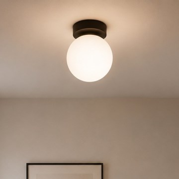 Brilagi - Точково осветително тяло MILO 1xE27/60W/230V черно