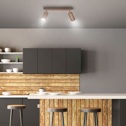 Brilagi - Точково осветително тяло SELE 2xGU10/30W/230V бежово