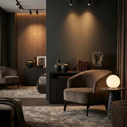 Brilagi - Точково осветително тяло SELE LONG 8xGU10/30W/230V черно