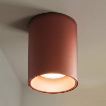 BRILAGI - Точково осветително тяло TRINE 1xGU10/30W/230V кафяво