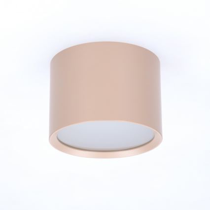 BRILAGI - Точково осветително тяло за баня SMOOTH 1xGX53/15W/230V 60x82 mm бежово IP54