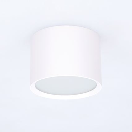 BRILAGI - Точково осветително тяло за баня SMOOTH 1xGX53/15W/230V 60x82 mm бяло IP54
