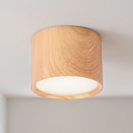 BRILAGI - Точково осветително тяло за баня SMOOTH 1xGX53/15W/230V 60x82 mm в дъбов декор IP54