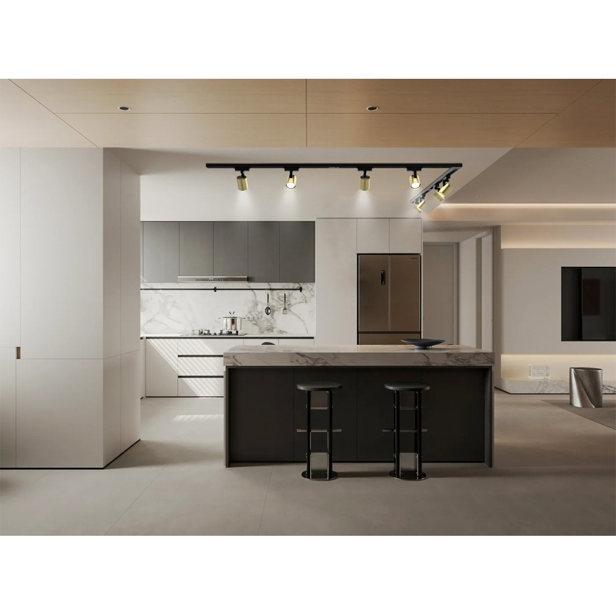 Brilagi - Точково осветително тяло за релсова система HUSKY 8xGU10/10W/230V черно/златно