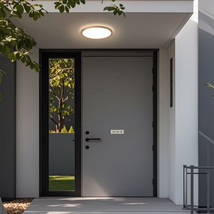 Brilagi - LED таванно осветително тяло за баня ULTRA SLIM LED/12W/230V Ø 22,5 cm розово злато IP54