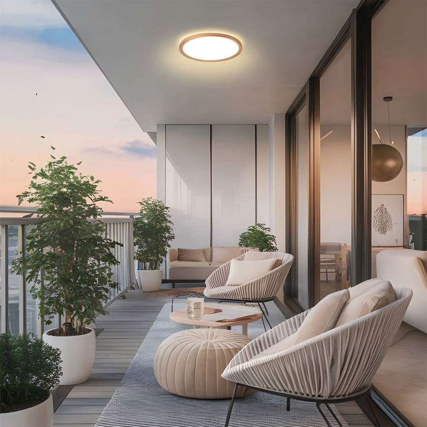 Brilagi - LED таванно осветително тяло за баня ULTRA SLIM LED/12W/230V Ø 22,5 cm розово злато IP54