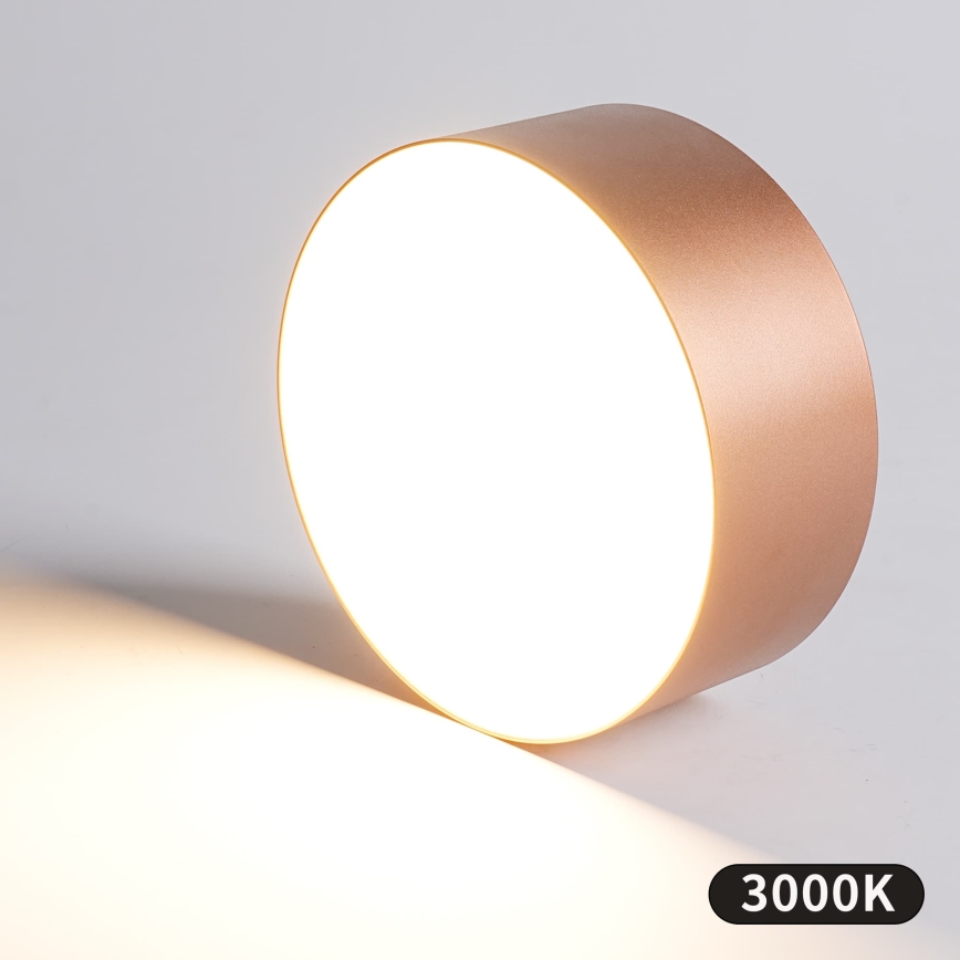 BRILAGI - Външен таванен осветител FORIS LED/20W/230V Ø 15 см бронзов IP44