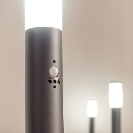 BRILAGI - Външна лампа със сензор ELIA 1xE27/20W/230V IP44 50 cm антрацит