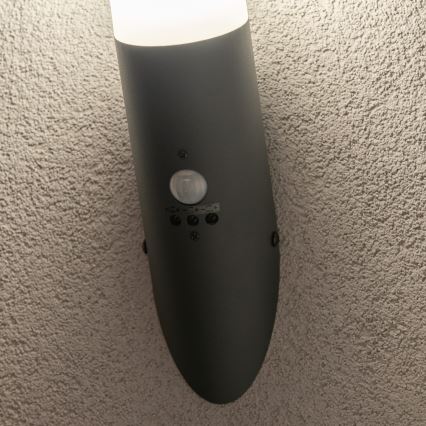 BRILAGI - Външна стенна лампа ELIA със сензор за движение 1xE27/20W/230V IP44 антрацит