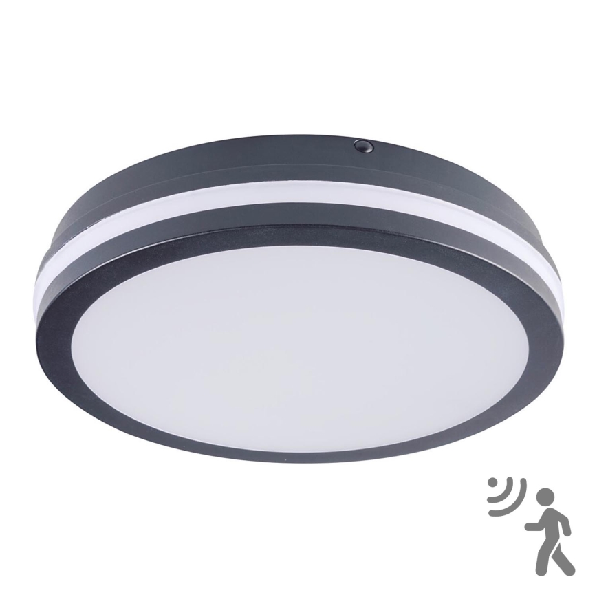 BRILAGI - LED външно осветително тяло с датчик BENE LED/24W/230V Ø 26 см антрацит IP54