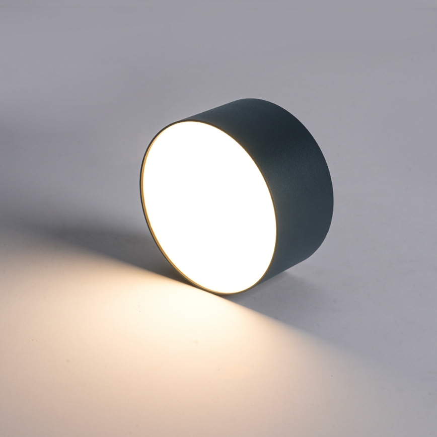 BRILAGI - LED Външно таванно осветително тяло FORIS LED/14W/230V Ø 12 cm антрацит IP44