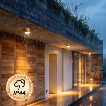 BRILAGI - Външно таванно осветително тяло FORIS LED/9W/230V Ø 9 см златисто IP44
