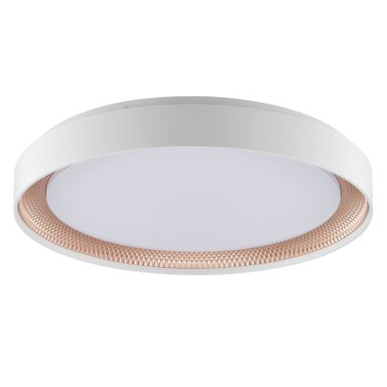 Brilliant - Димируемо LED таванно осветително тяло WALDO LED/36W/230V 3000-6500K Ø 48,5 см бял/розово злато + дистанционно управление