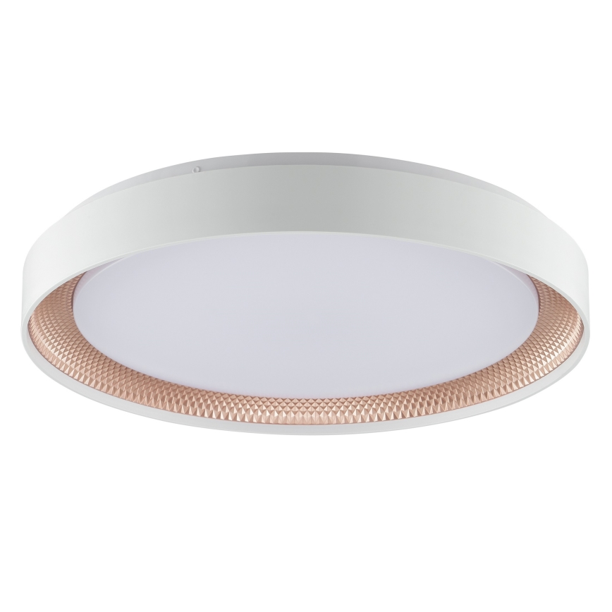 Brilliant - Димируемо LED таванно осветително тяло WALDO LED/36W/230V 3000-6500K Ø 48,5 см бял/розово злато + дистанционно управление