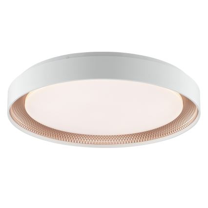 Brilliant - Димируемо LED таванно осветително тяло WALDO LED/36W/230V 3000-6500K Ø 48,5 см бял/розово злато + дистанционно управление
